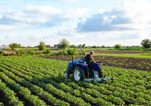 Small diameter tubing for agricultural uses